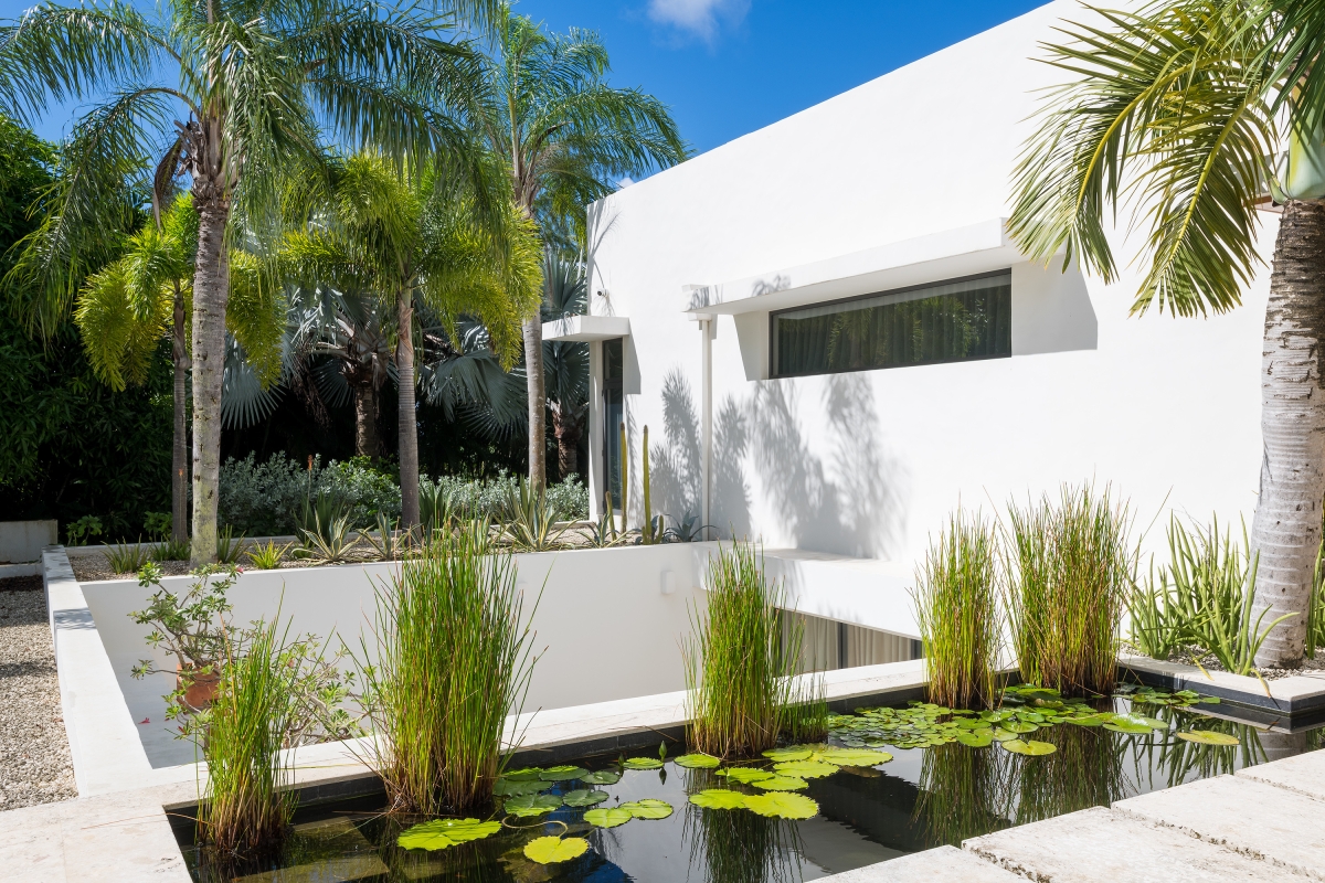 Tara House